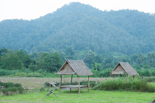 cabane dans les champs