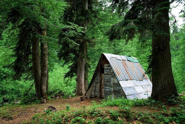 Cabane dans la forêt dans les montagnes