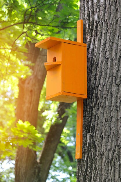 Photo cabane dans l'oranger pour les oiseaux