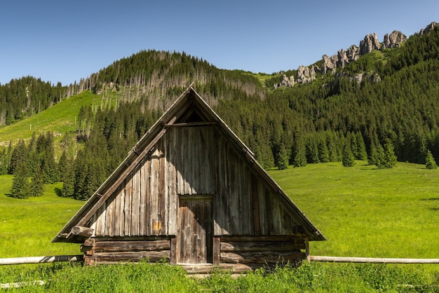 Cabane dans la vallée de Chocholowka dans les montagnes du parc national des tatras en Pologne près de Zakopane