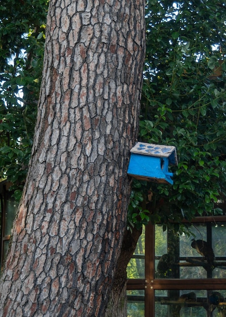 Une cabane d'oiseau faite maison sur un arbre dans le parc Prendre soin des animaux