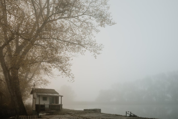 Cabane de pêcheur au bord de l'étang dans la brume matinale