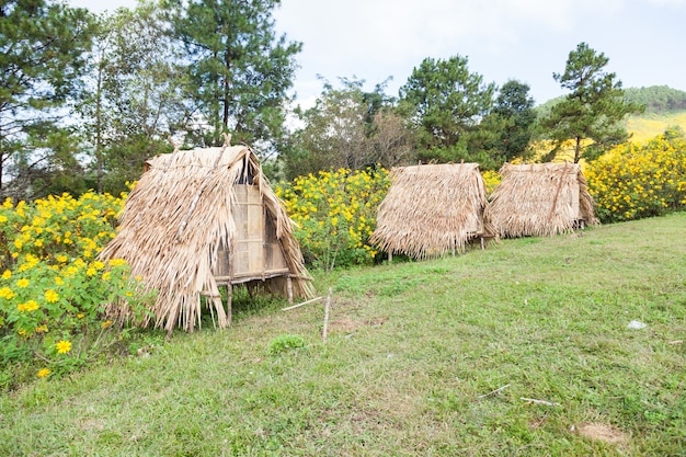 cabane sur la pelouse