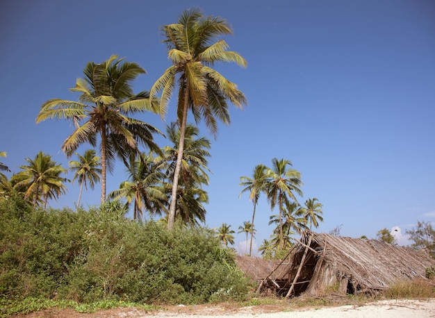 La cabane sur la plage