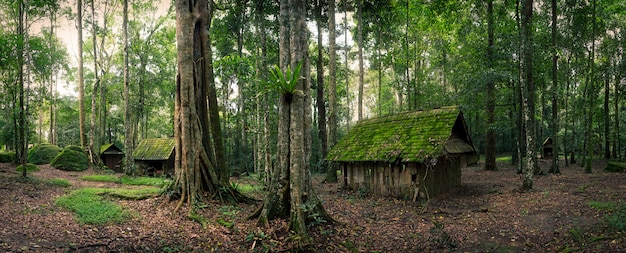 Cabane verte en forêt