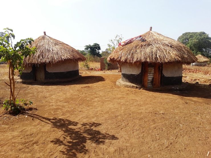 Photo des cabanes sur le champ par une journée ensoleillée