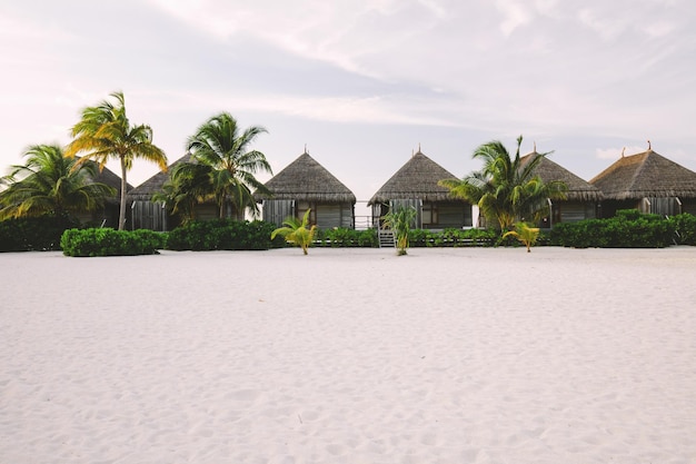 Cabanes exotiques sur une plage de sable avec palmiers et buissons Destination de voyage d'été Tourisme aux Maldives
