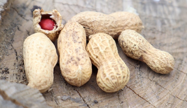 Des cacahuètes crues entières non pelées dans des cosses brunes dans la texture de la coquille sur un beau fond naturel dans la forêt se trouvent dans un tas sur un arbre, à l'extérieur par une journée d'été ensoleillée.