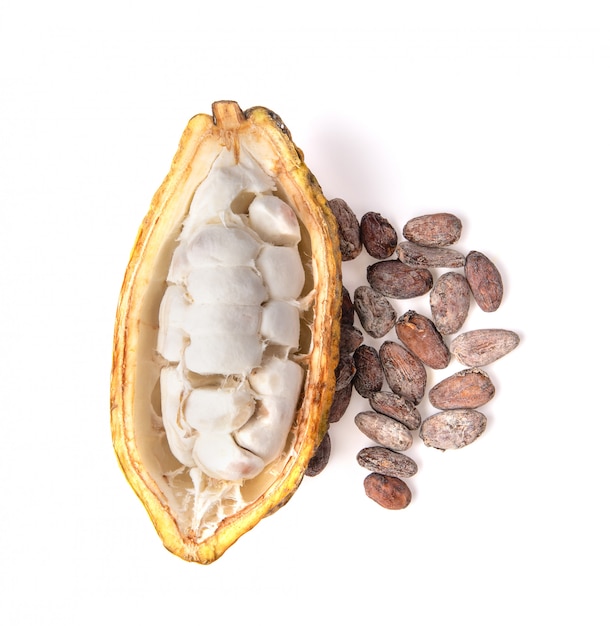 Cacao frais avec des graines sèches isolé sur une surface blanche. vue de dessus