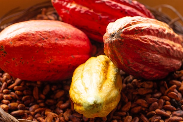 Cacao et graines dans un bol de paille