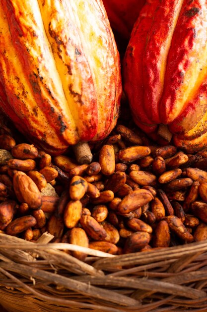 Cacao et graines dans un bol de paille