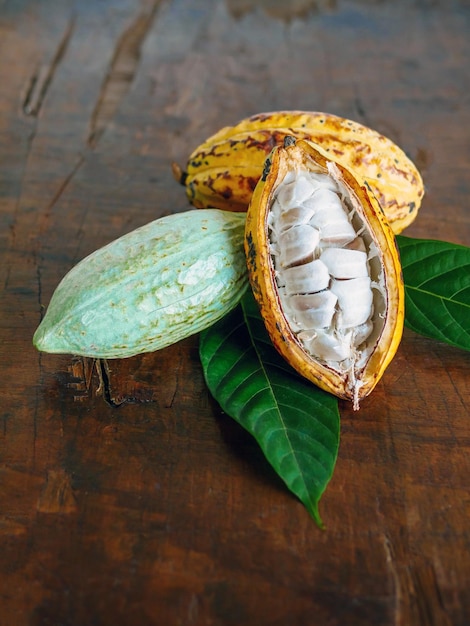 Cacao jaune mûr à moitié tranché avec des graines de cacao blanc Coupé à moitié de cacao frais mûr et vert cru