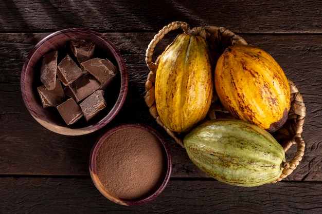 Cacao avec morceaux de chocolat et poudre de chocolat sur la table