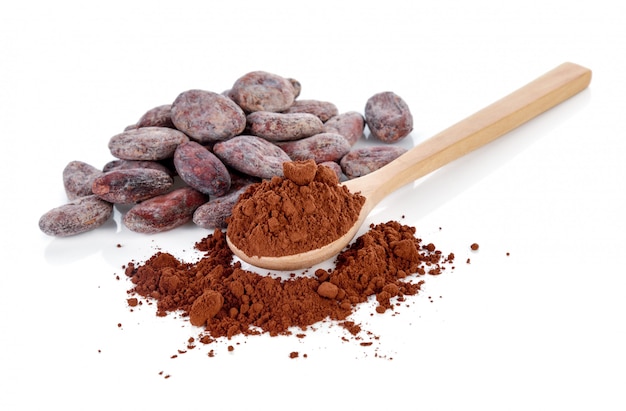 Cacao en poudre et haricots isolés on white