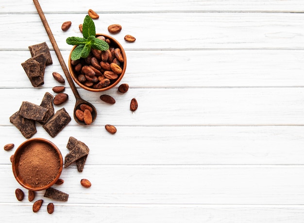 Cacao en poudre et haricots