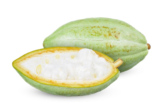 Photo cacao vert isolé sur fond blanc