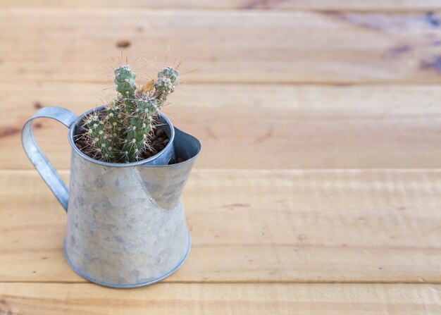 cactus dans l&#39;abreuvoir sur fond de bois