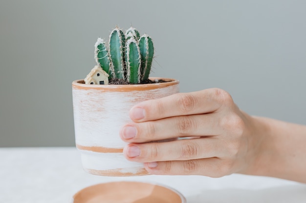 Photo un cactus dans un beau pot d'argile sur la main d'une plante en pot de femme européenne pour la décoration de la maison