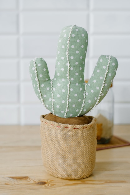 Cactus décoratif doux dans un pot