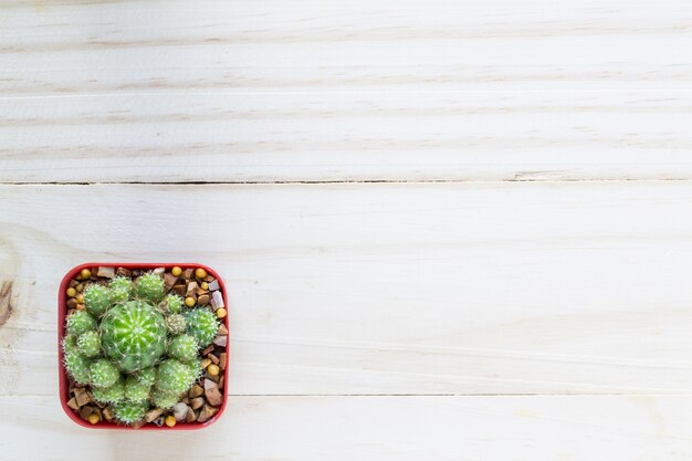 cactus avec espace en pot sur la table en bois.