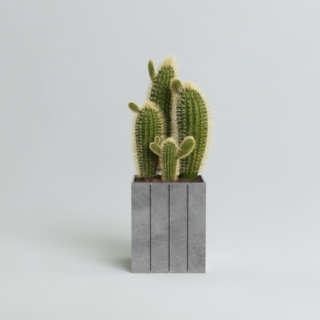 Photo cactus en pot de béton moderne isolé sur fond gris