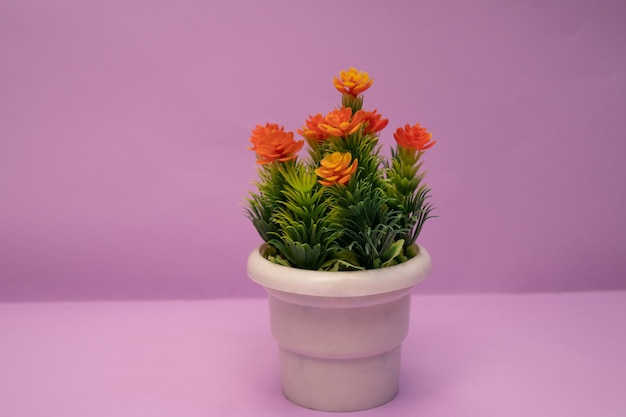 Un cactus en pot avec des fleurs orange sur fond rose