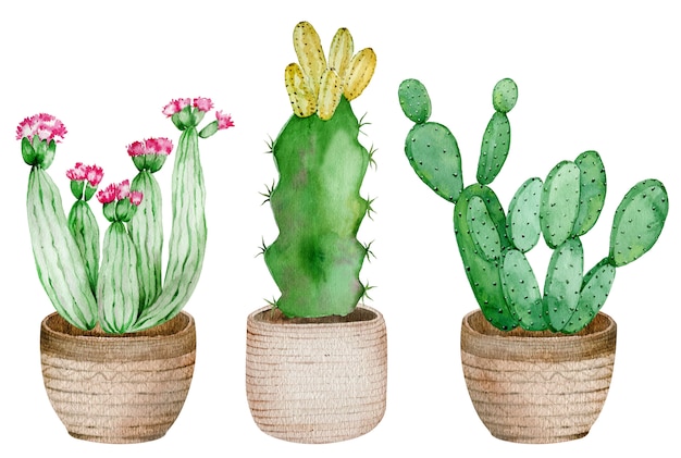 Cactus en pot isolés sur fond blanc. Illustration de jeu aquarelle dessinés à la main.