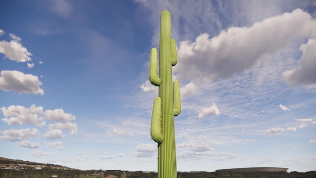 cactus réaliste avec un ciel bleu