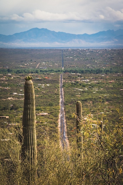 Photo les cactus saguaro surplombent une vallée verte avec des maisons et des montagnes au loin tucson arizona