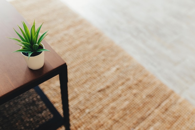 Cactus sur la table basse à l'intérieur. Tapis en terre cuite. Arrière-plan flou. Photo de haute qualité