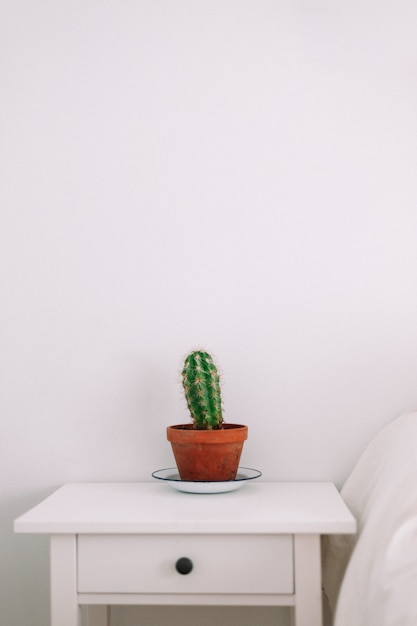 Cactus sur table de chevet fond blanc