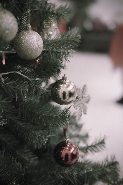 Cadeau de sapin de Noël en pin