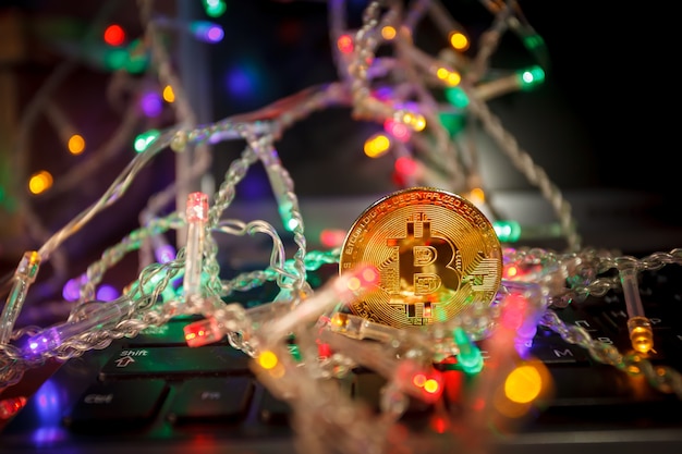 Cadeaux de guirlande de bitcoin de Noël et branches de sapin
