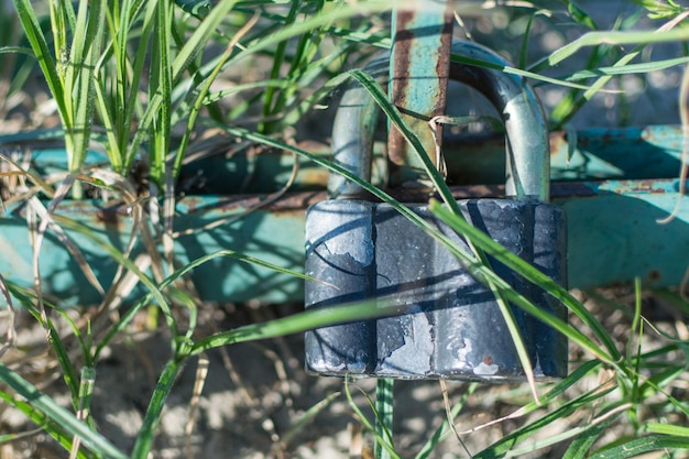 Photo cadenas dans l'herbe