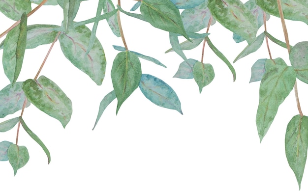 Cadre aquarelle de branches d'eucalyptus vert menthe illustration florale dessinée à la main pour les invitations de mariage salon de beauté floristique Clip art pour les impressions de salutations affiches d'étiquettes