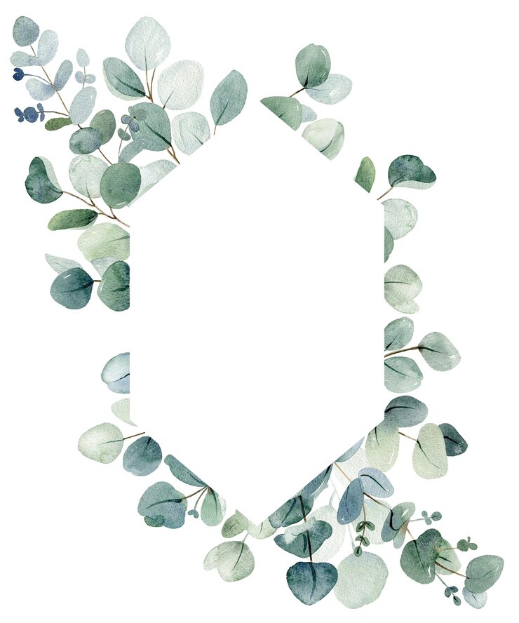 Photo cadre aquarelle avec des feuilles d'eucalyptus