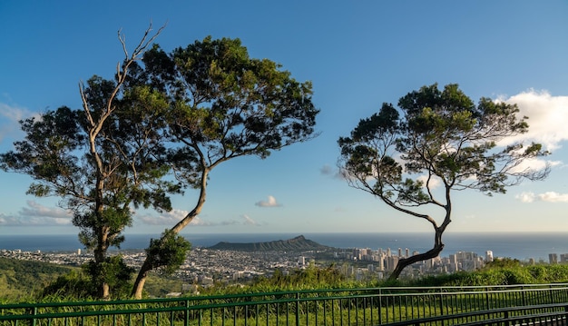 Cadre d'arbres panorama sur Waikiki Honolulu et Diamond Head depuis le Tantalus Overlook sur Oahu Hawaii