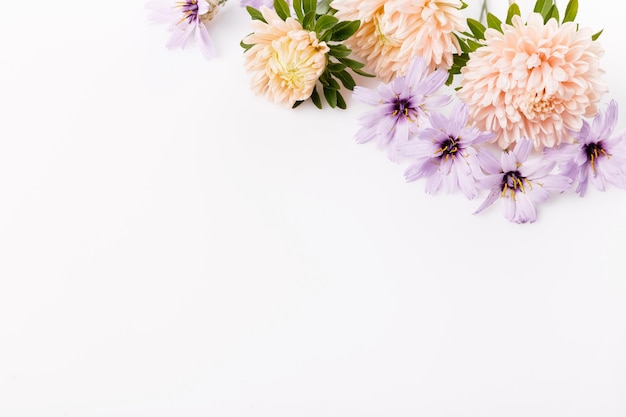 Cadre d'automne d'aster poussiéreux et de composition florale de fleurs bleues sèches isolé sur fond blanc Vue de dessus avec espace de copie