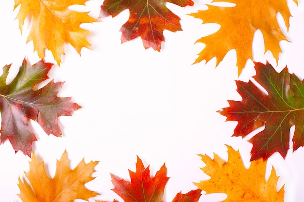 cadre d'automne coloré laisse sur fond blanc