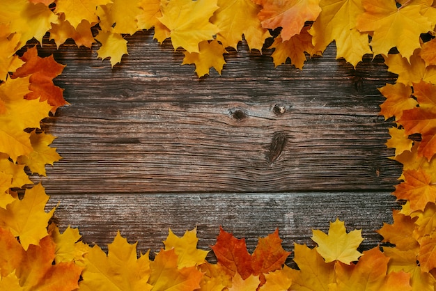 Photo cadre automne d'érable jaune orange laisse sur fond en bois ancien