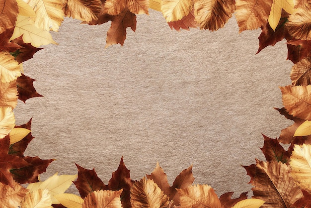 cadre automne feuilles jaune design