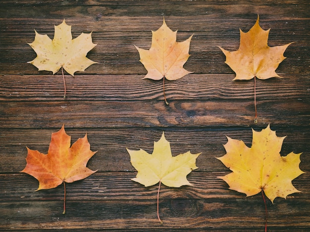 Cadre automne sur fond en bois. Composition d&#39;automne.