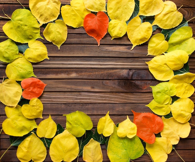 Cadre d'automne pour votre idée et votre texte. Feuilles sèches tombées d'automne de jaune, rouge, orange