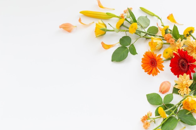 cadre de belles fleurs sur fond blanc