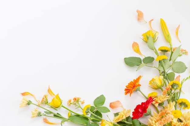 Photo cadre de belles fleurs sur fond blanc