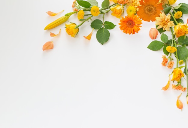 cadre de belles fleurs sur fond blanc