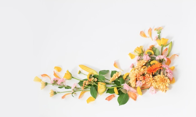 cadre de belles fleurs sur fond blanc
