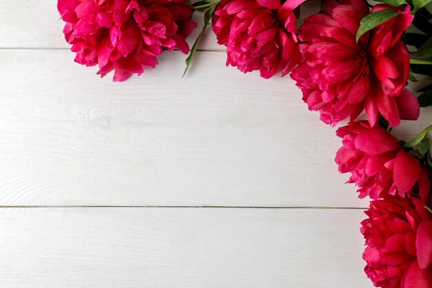 Cadre de belles fleurs de pivoine rose vif sur un fond en bois blanc. vue de dessus. espace pour le texte