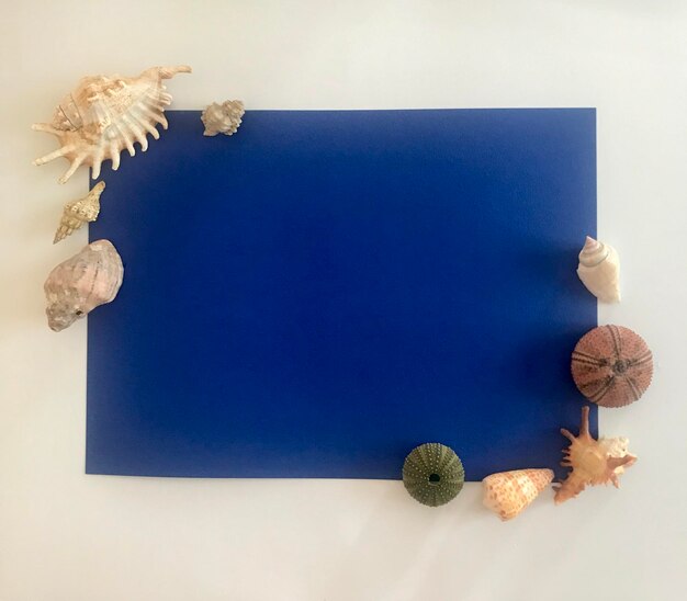 Photo cadre blanc avec des coquillages de mer sur un fond bleu