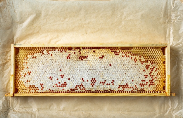 Cadre en bois de rayons de miel sur fond de papier brun, vue de dessus